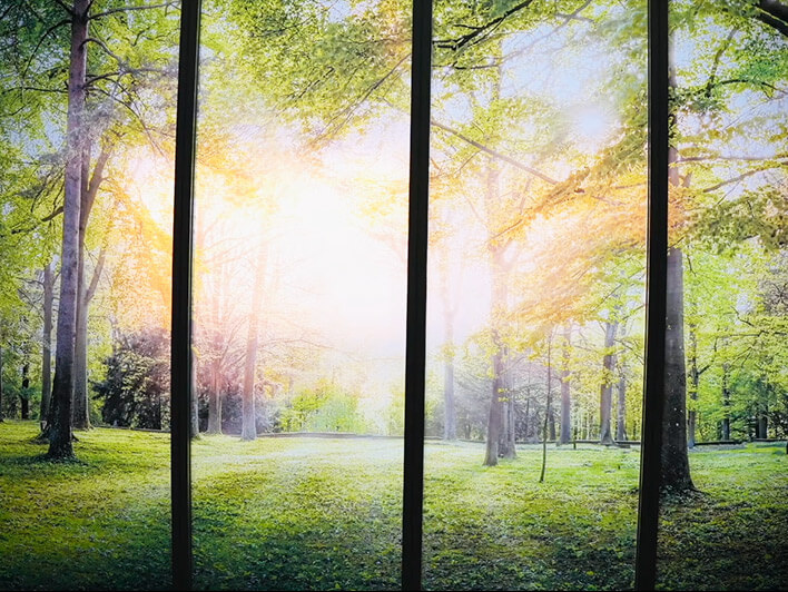 青山スタイル オフィス 木漏れ日